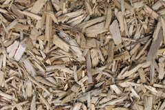 biomass boilers Waungilwen